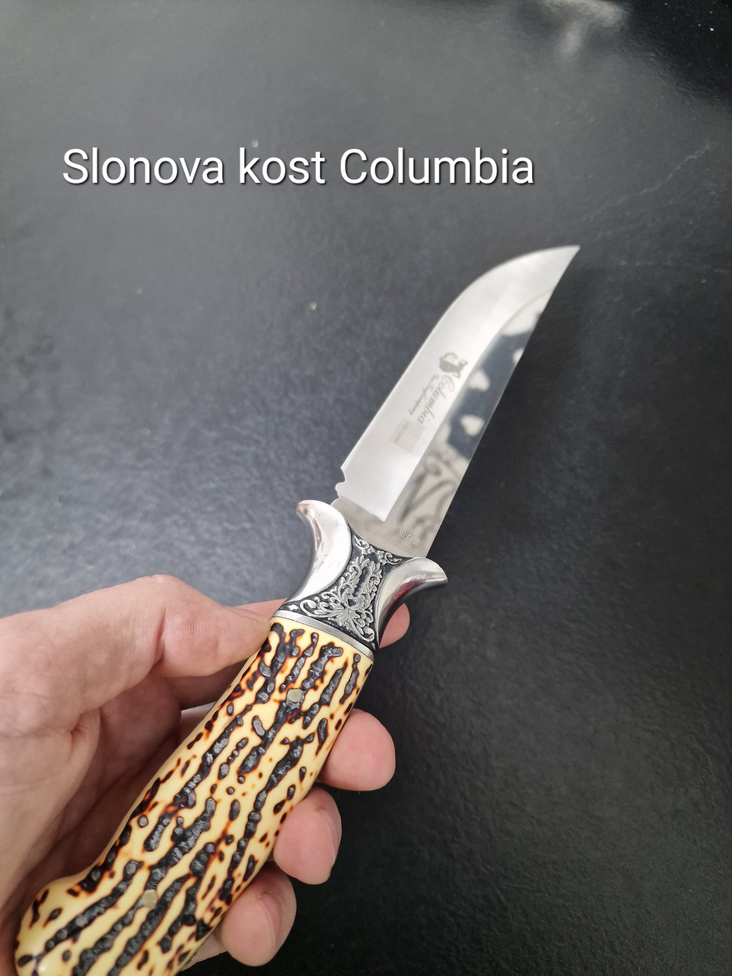 Noz Slonova kost Columbia original